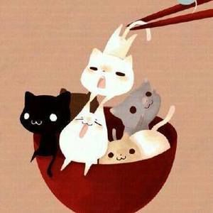 Meet your Posher, Chen xin